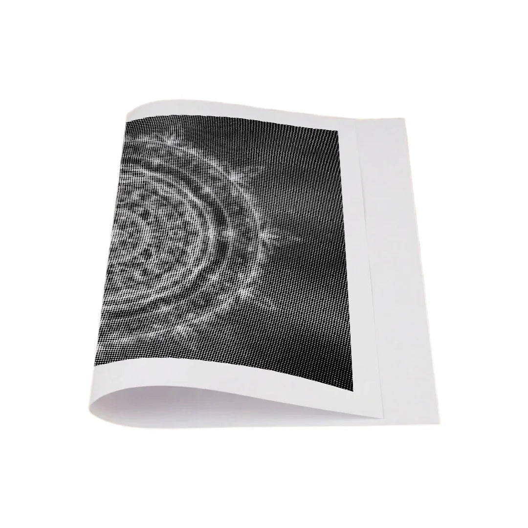 Mandala 15 Dot Maleri