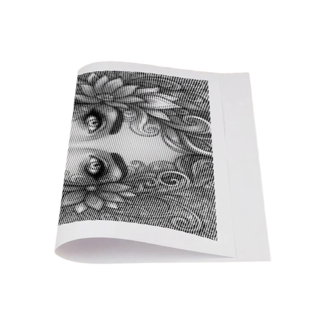 Botanisk ansigtspunktmaling