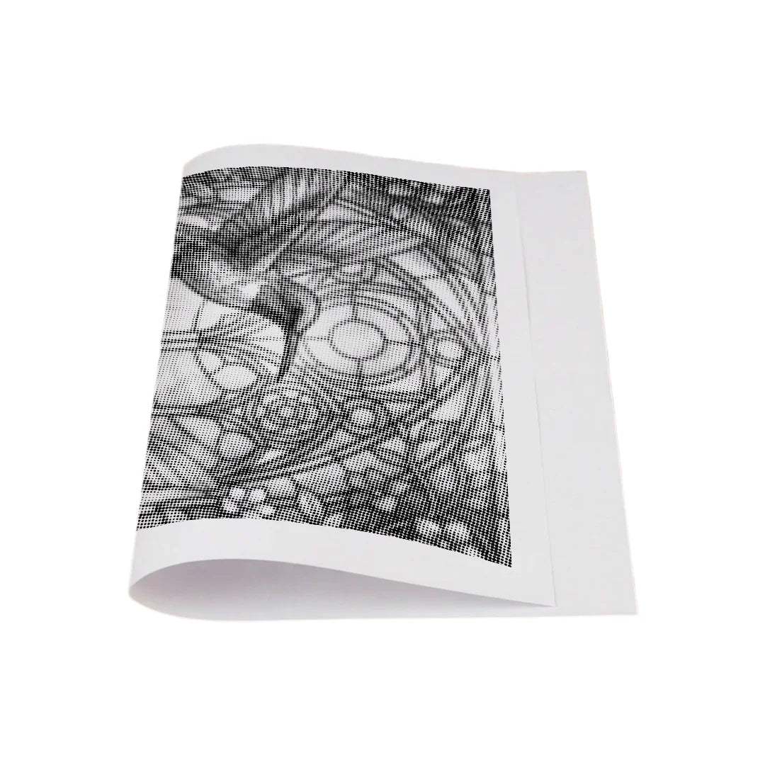 Hummingbird farvede glas prik maleri