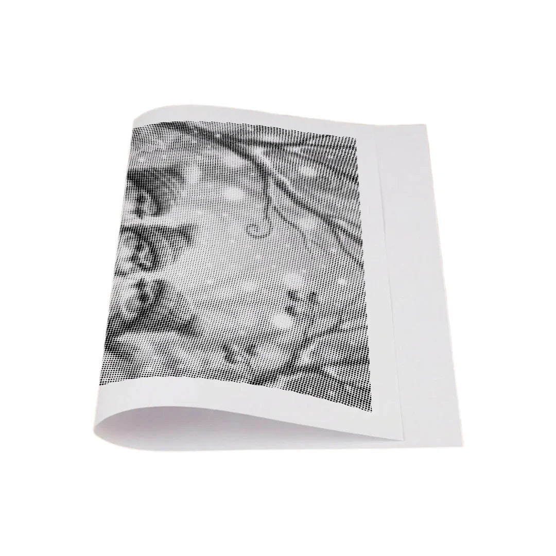 Fugle med hatte Punktmaleri