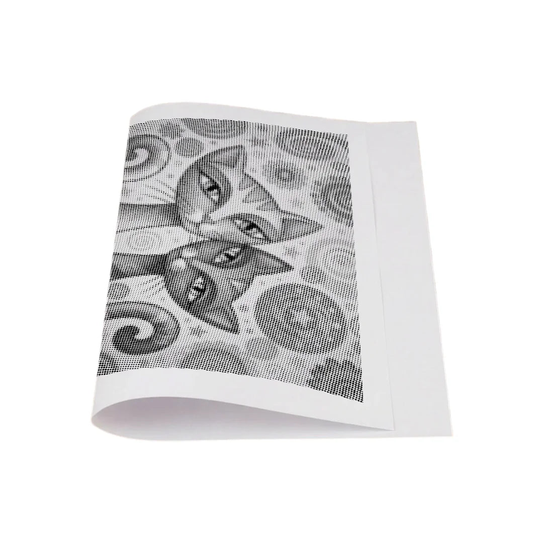 2 yndefulde Katte Dot Painting