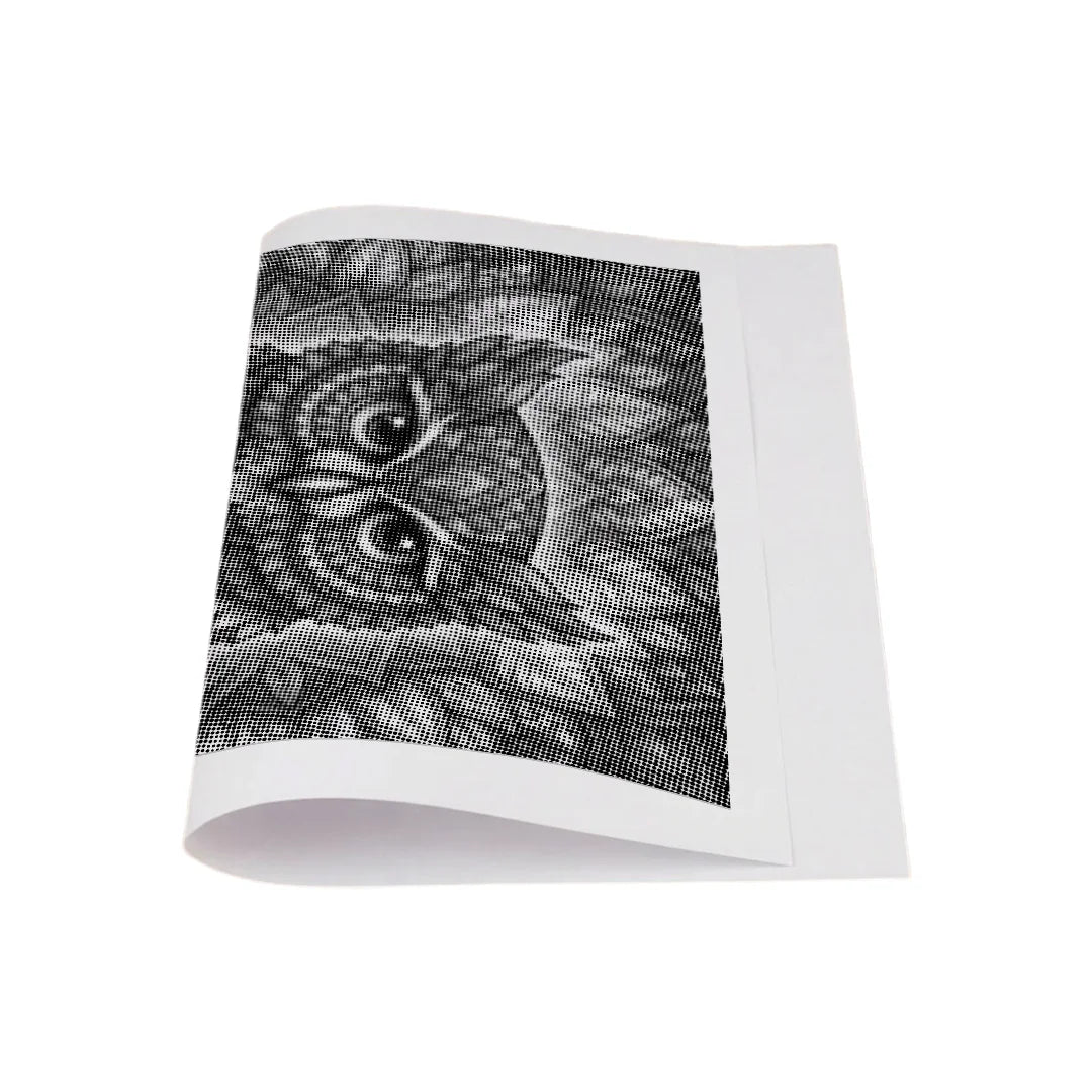 Owl Mandala 2 Dot Maleri