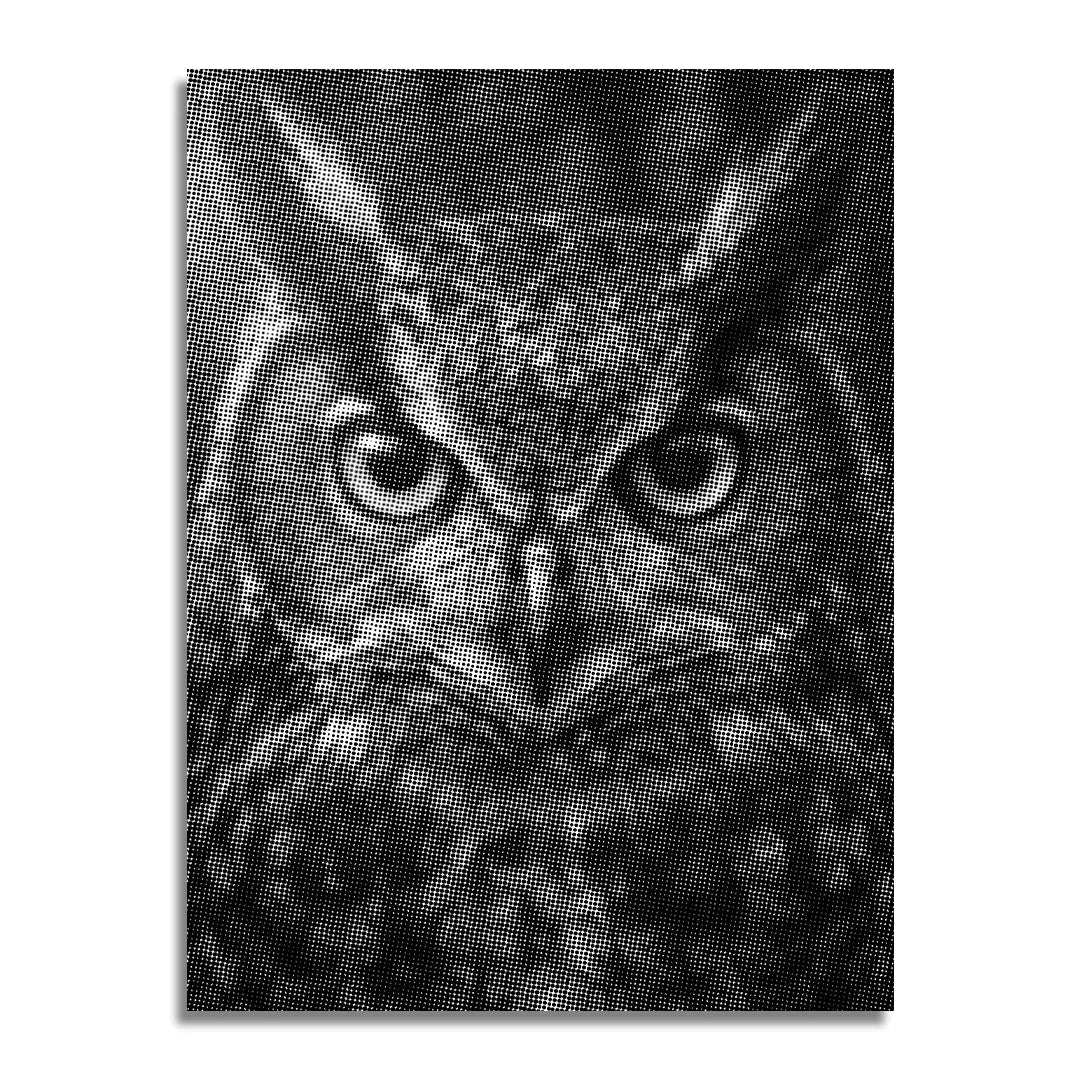 Medvirkende Owl Dot Painting