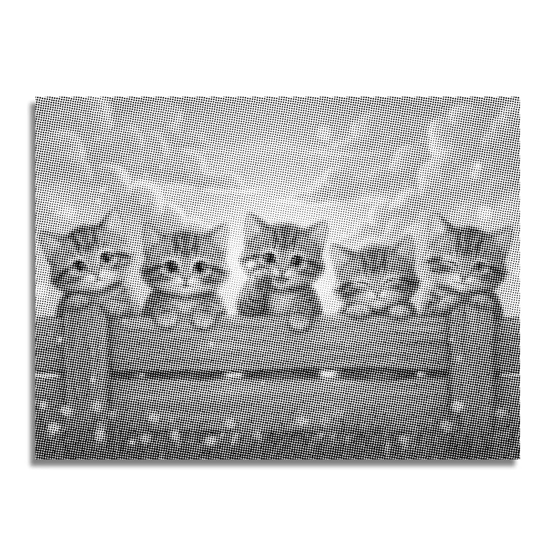 Killinger på hegnet Punktmaleri