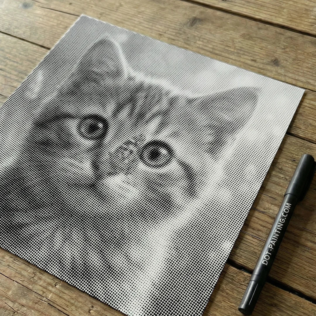Kat med sommerfugleprikmaleri