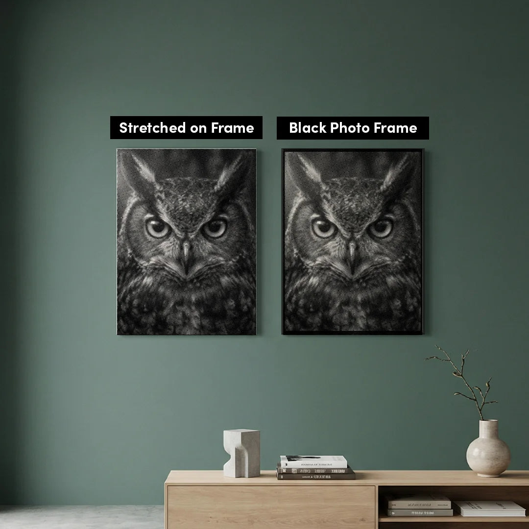 Medvirkende Owl Dot Painting