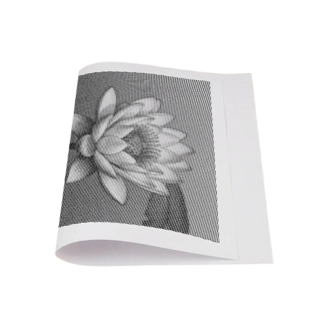 Åkande på Vandprikket-maleriet