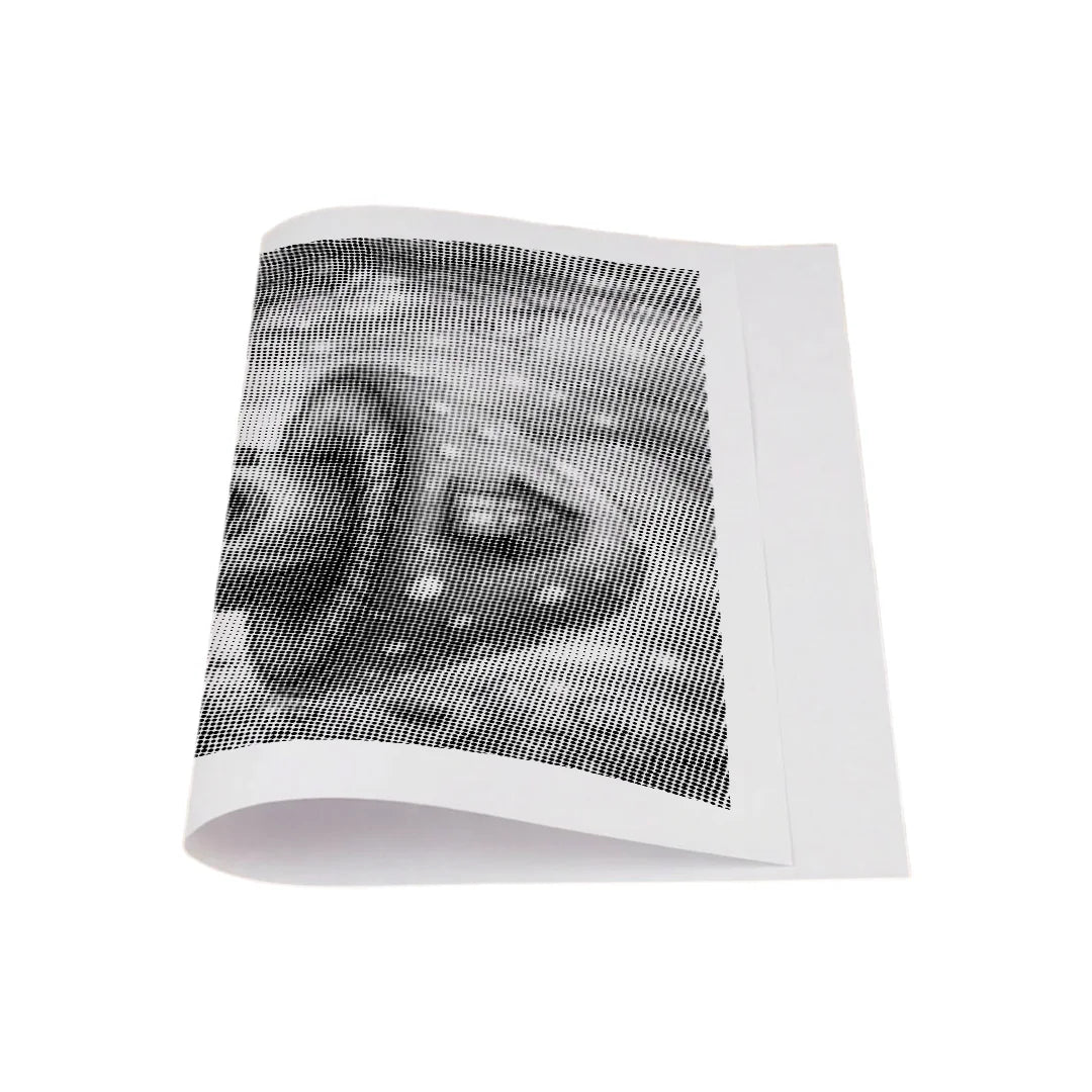 Mushroom House Dot Maleri